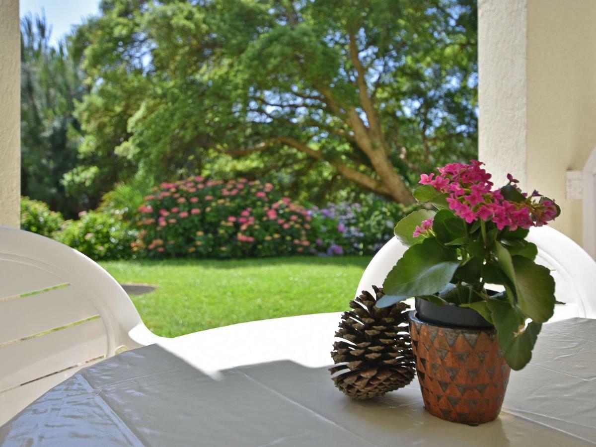Beautiful Flat With Pool In Moliets Et Maaアパートメント エクステリア 写真